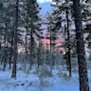 Meet your Posher, Gage